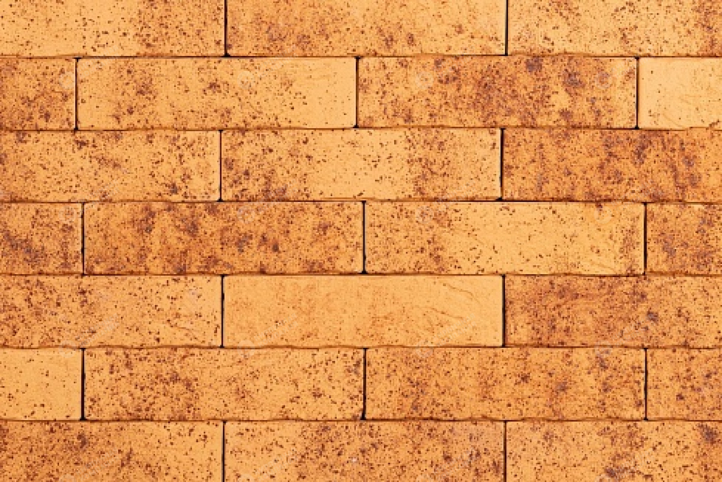 ТАЙГА СКАЛА МОРОШКА 1НФ пустотелый