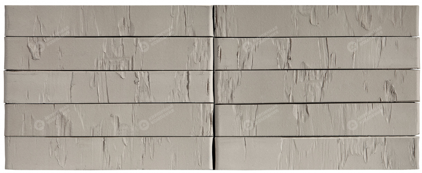 Серый Ригельный Скала пустотелый