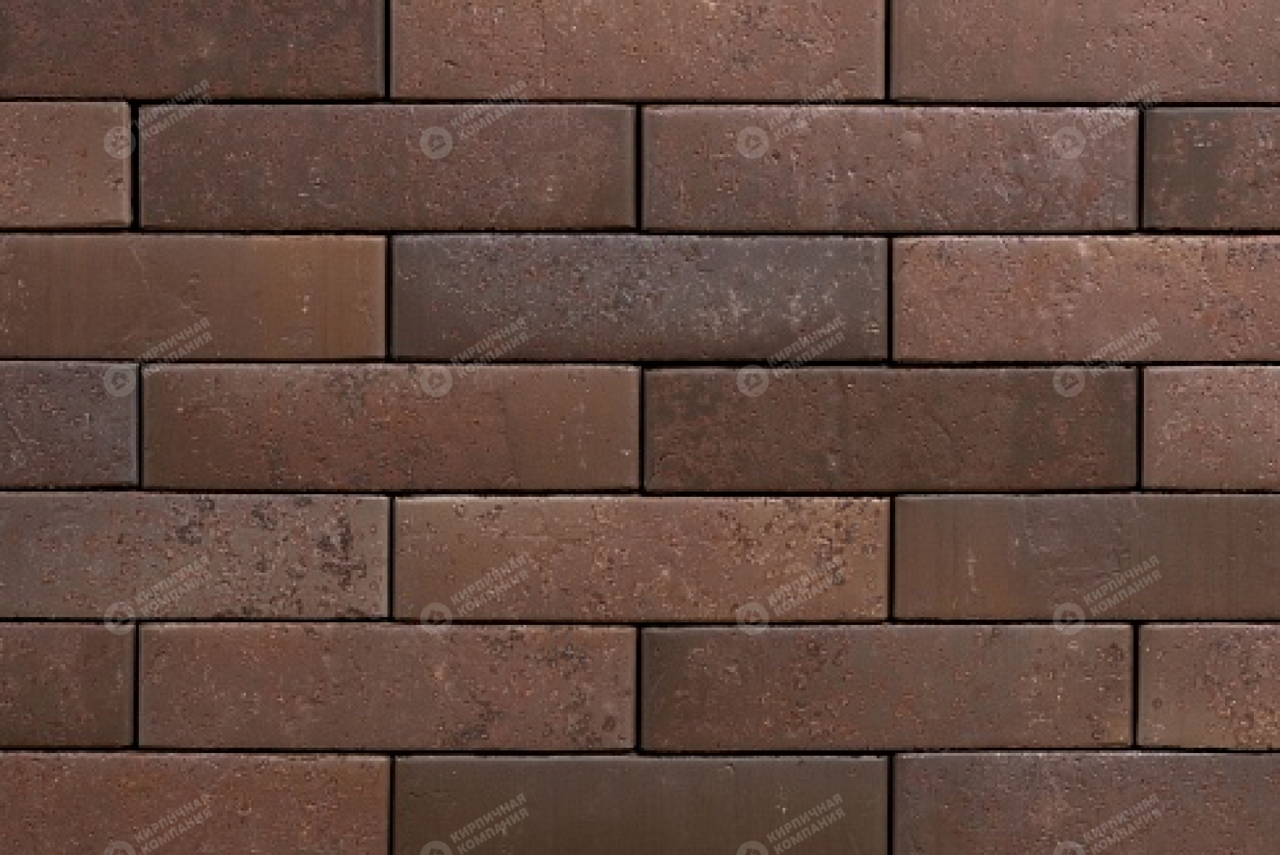 ТАЙГА МОРИОН ЮГ ЛАВА 1НФ пустотелый