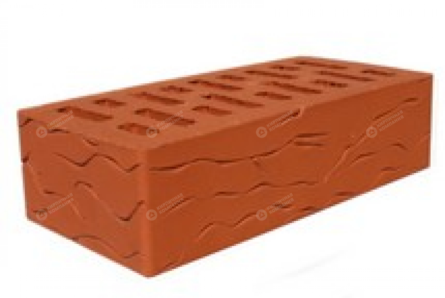 КРАСНЫЙ КОРА ДУБА 1НФ пустотелый