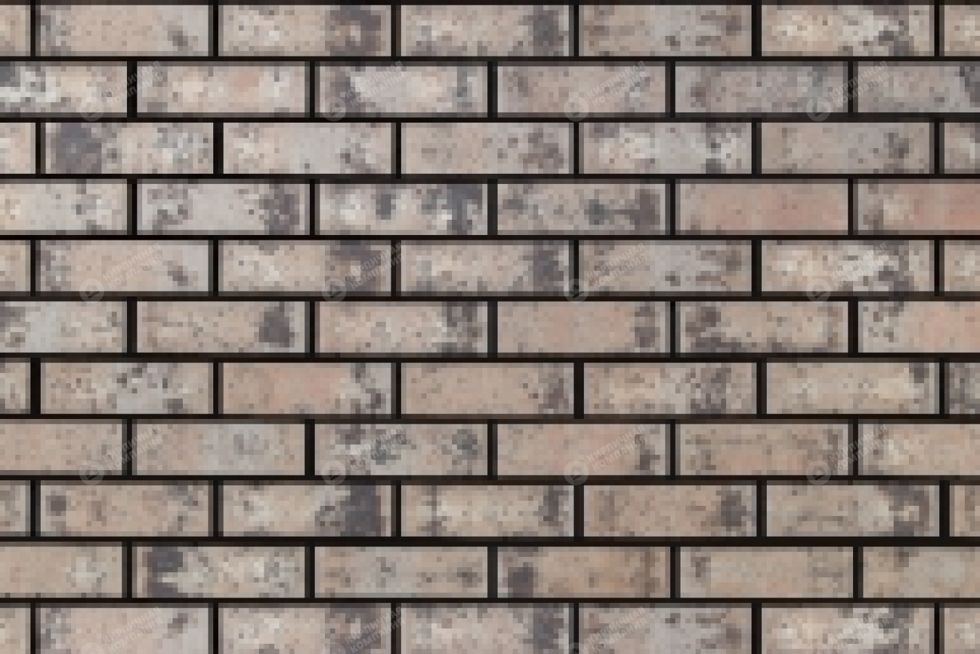 OLDHAM 1НФ пустотелый