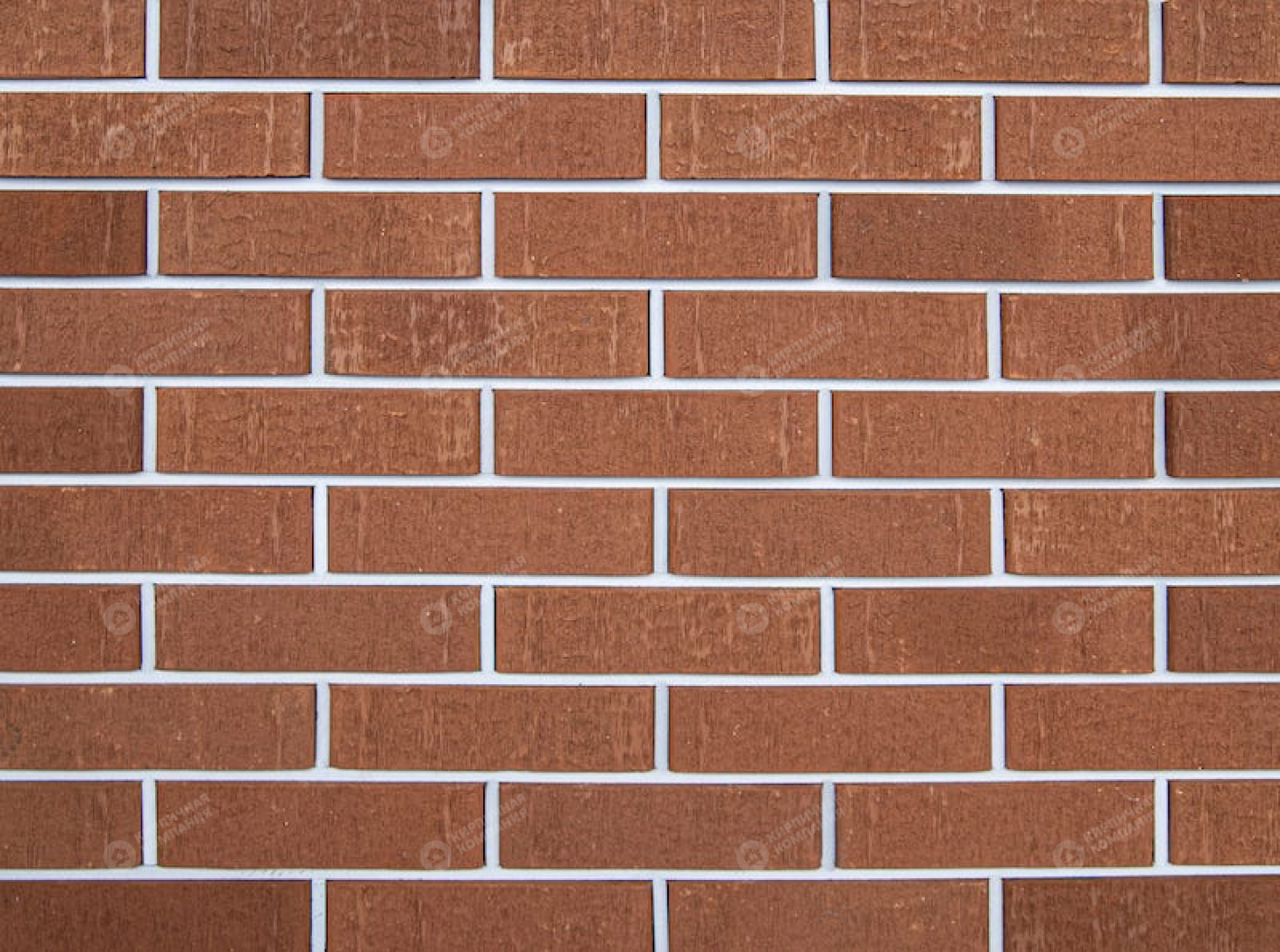 КРАСНЫЙ БАРХАТ WDF пустотелый